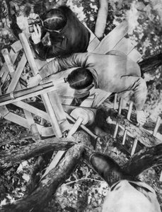 Beobachtungsposten in einem Baum, Woevre, Frankreich, Erster Weltkrieg, um 1914 von Unbekannt