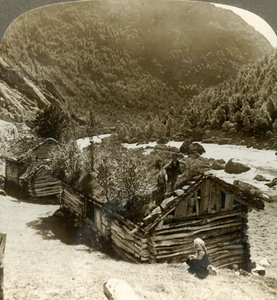 Alte Blockhäuser in Bratslandsdal, mit Bäumen auf mit Gras bedeckten Dächern, Norwegen, ca. 1905 von Unbekannt