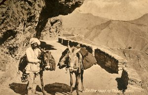 Auf dem Weg nach Theog, Simla