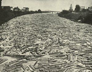 Auf dem Weg zu den Sägewerken, ca. 1948