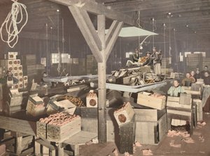 Orangenverpackung in Redlands, veröffentlicht 1899