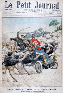 Strauße greifen ein Auto an, Kalifornien, USA, 1904 von Unbekannt