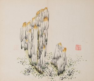 Seite aus Shi Zhu Zhai von Unbekannt