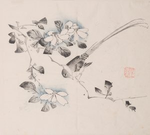 Seite aus Shi Zhu Zhai von Unbekannt
