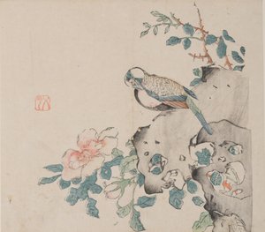 Seite aus Shi Zhu Zhai von Unbekannt