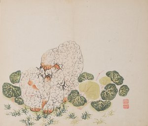 Seite aus Shi Zhu Zhai von Unbekannt