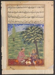 Seite aus Geschichten eines Papageis Tuti-nama: Achte Nacht: Die untreue Frau erklärt..., ca. 1560 von Unbekannt