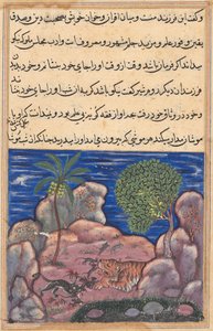 Seite aus Geschichten eines Papageis Tuti-nama: Fünfzehnte Nacht: Die Katze greift die Mäuse an..., 1558-1560