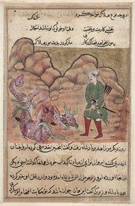 Seite aus den Geschichten eines Papageis Tuti-nama: Zweiundfünfzigste Nacht: Der Sohn des frommen Mannes..., um 1560 von Unbekannt