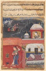 Seite aus Geschichten eines Papageis Tuti-nama: Erste Nacht: Khujasta tötet den Haustier-Myna..., ca. 1560 von Unbekannt