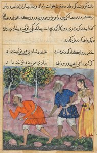Seite aus Geschichten eines Papageis Tuti-nama: Zweiundvierzigste Nacht: Die Tochter des Rajas..., um 1560