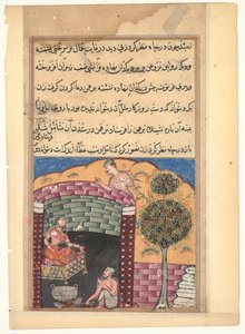 Seite aus Geschichten eines Papageis Tuti-nama: Siebte Nacht: Der Brahmane Spieler sieht..., ca. 1560