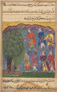 Seite aus Geschichten eines Papageis Tuti-nama: Sechste Nacht: Sieben Männer streiten um den Besitz, ca. 1560 von Unbekannt