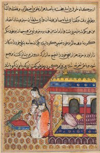 Seite aus Geschichten eines Papageis Tuti-nama: Achtunddreißigste Nacht: Der Papagei spricht Khujasta an, ca. 1560 von Unbekannt