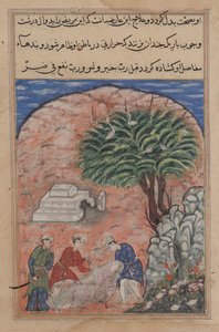 Seite aus Geschichten eines Papageis Tuti-nama: Zwanzigste Nacht: Die Freier nehmen..., um 1560 von Unbekannt