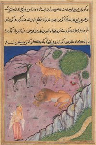 Seite aus Geschichten eines Papageis Tuti-nama: Einundzwanzigste Nacht: Der Brahmane..., um 1560