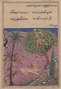 Seite aus den Geschichten eines Papageis Tuti-nama: Einundzwanzigste Nacht: Der Wolf und der Schakal..., ca. 1560