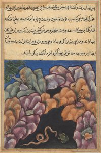 Seite aus den Geschichten eines Papageis Tuti-nama: Sechsundzwanzigste Nacht: Die Schlange tritt ein..., um 1560