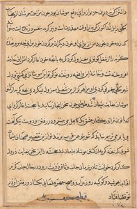 Seite aus den Geschichten eines Papageis Tuti-nama: Textseite, ca. 1560 von Unbekannt