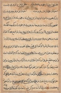 Seite aus Geschichten eines Papageis Tuti-nama: Textseite, ca. 1560 von Unbekannt