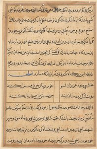 Seite aus Geschichten eines Papageis Tuti-nama: Textseite, ca. 1560 von Unbekannt