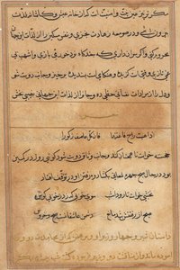 Seite aus Geschichten eines Papageis Tuti-nama: Textseite, ca. 1560 von Unbekannt
