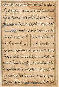 Seite aus Geschichten eines Papageis Tuti-nama: Textseite, ca. 1560 von Unbekannt