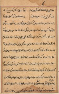 Seite aus Geschichten eines Papageis Tuti-nama: Textseite, ca. 1560 von Unbekannt