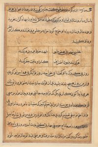 Seite aus den Geschichten eines Papageis Tuti-nama: Textseite, ca. 1560 von Unbekannt