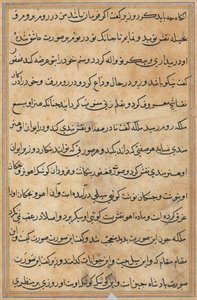 Seite aus Geschichten eines Papageis Tuti-nama: Textseite, ca. 1560 von Unbekannt