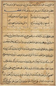 Seite aus Tales of a Parrot Tuti-nama: Textseite, ca. 1560 von Unbekannt