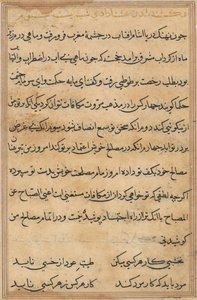 Seite aus Geschichten eines Papageis Tuti-nama: Textseite, ca. 1560 von Unbekannt
