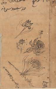Seite aus den Geschichten eines Papageis Tuti-nama: Textseite, ca. 1560