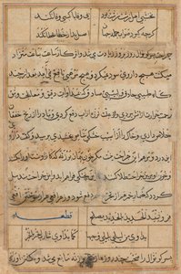 Seite aus Geschichten eines Papageis Tuti-nama: Textseite, ca. 1560 von Unbekannt