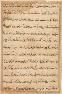 Seite aus den Geschichten eines Papageis Tuti-nama: Textseite, ca. 1560 von Unbekannt