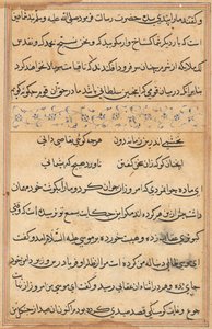 Seite aus Geschichten eines Papageis Tuti-nama: Textseite, ca. 1560 von Unbekannt