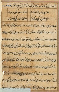 Seite aus Geschichten eines Papageis (Tuti-nama): Textseite (ca. 1560) von Unbekannt