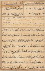 Seite aus den Geschichten eines Papageis Tuti-nama: Textseite, ca. 1560 von Unbekannt