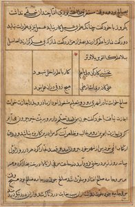 Seite aus den Geschichten eines Papageis Tuti-nama: Textseite, ca. 1560