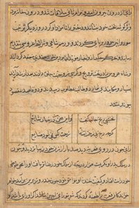 Seite aus Geschichten eines Papageis Tuti-nama: Textseite, ca. 1560 von Unbekannt