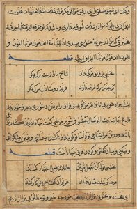 Seite aus Geschichten eines Papageis Tuti-nama: Textseite, ca. 1560 von Unbekannt