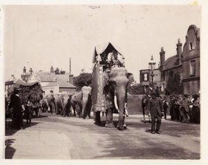 Parade der Elefanten, um 1905