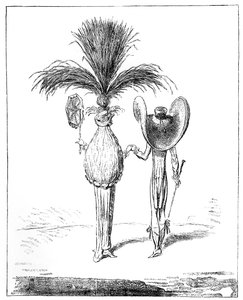 Sonnenschirme für 1795