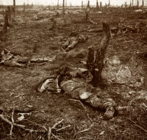 Pfad zwischen Leichen, um 1914-1918