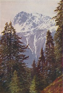 Gipfel im Himalaya, 1924 von Unbekannt