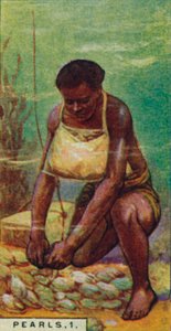 Perlen 1. Einheimischer Taucher bei der Arbeit, Ceylon, 1928
