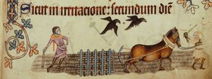 Bauern pflügen aus dem Luttrell Psalter, ca. 1330