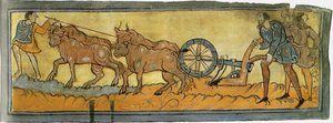 Bauern beim Pflügen, Miniatur aus dem Cotton MS Tiberius, 11. Jahrhundert von Unbekannt