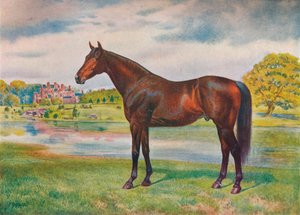 Kaki, um 1905-1910
