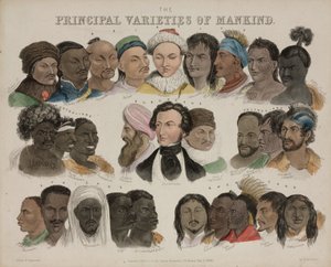 Physiognomie 